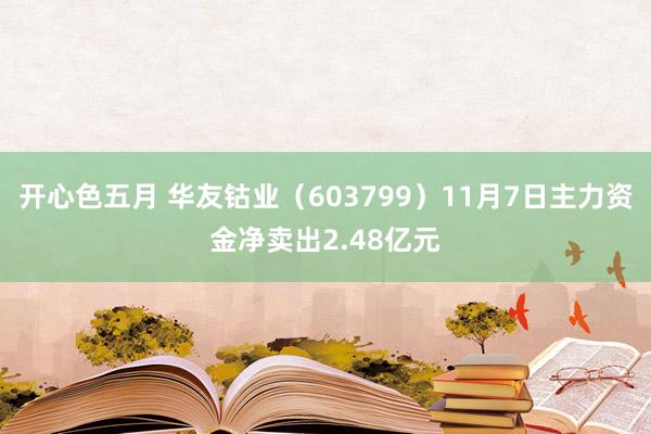 开心色五月 华友钴业（603799）11月7日主力资金净卖出2.48亿元