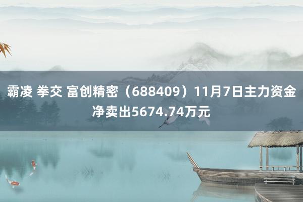 霸凌 拳交 富创精密（688409）11月7日主力资金净卖出5674.74万元