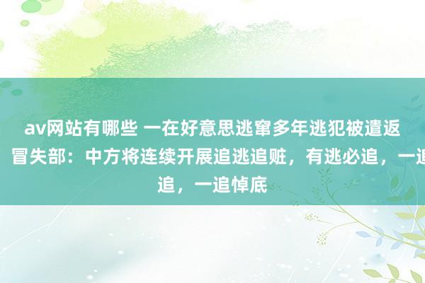 av网站有哪些 一在好意思逃窜多年逃犯被遣返归国，冒失部：中方将连续开展追逃追赃，有逃必追，一追悼底