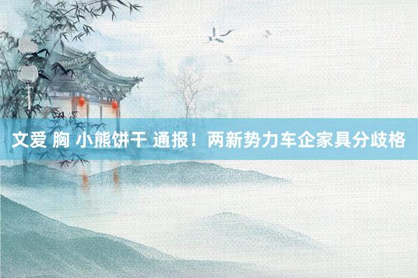 文爱 胸 小熊饼干 通报！两新势力车企家具分歧格