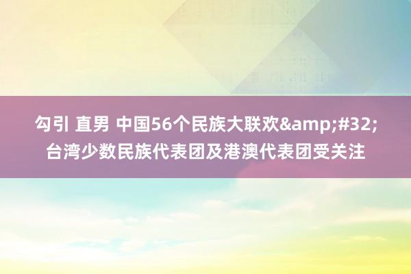 勾引 直男 中国56个民族大联欢&#32;台湾少数民族代表团及港澳代表团受关注