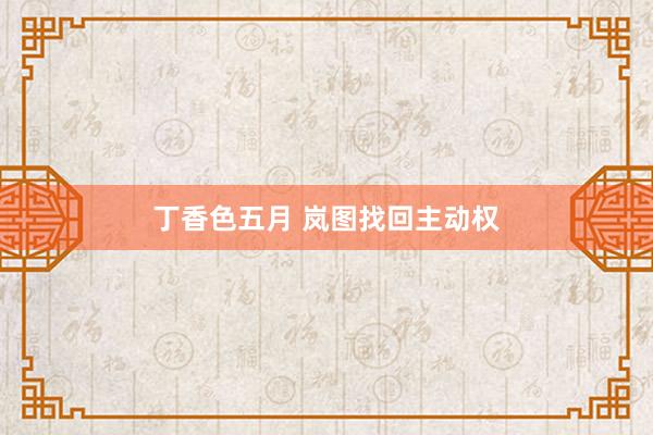 丁香色五月 岚图找回主动权