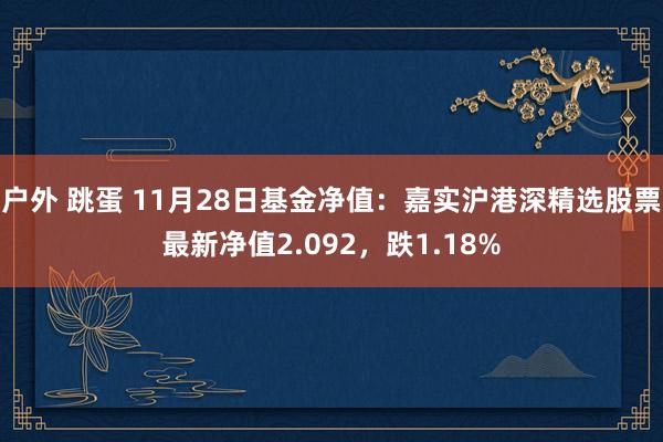户外 跳蛋 11月28日基金净值：嘉实沪港深精选股票最新净值2.092，跌1.18%