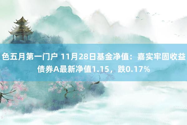色五月第一门户 11月28日基金净值：嘉实牢固收益债券A最新净值1.15，跌0.17%