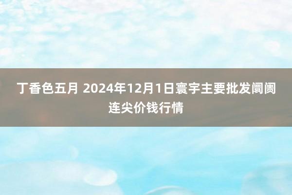 丁香色五月 2024年12月1日寰宇主要批发阛阓连尖价钱行情