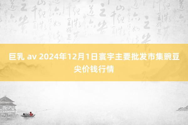 巨乳 av 2024年12月1日寰宇主要批发市集豌豆尖价钱行情