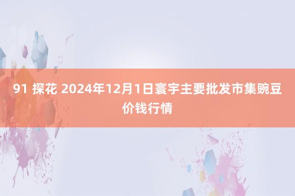 91 探花 2024年12月1日寰宇主要批发市集豌豆价钱行情