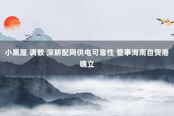 小黑屋 调教 深耕配网供电可靠性 管事海南自贸港确立