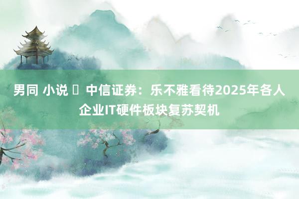 男同 小说 中信证券:乐不雅看待2025年各人企业IT硬件板块复苏契机