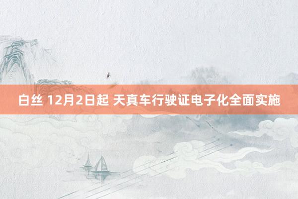 白丝 12月2日起 天真车行驶证电子化全面实施