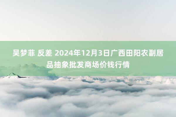 吴梦菲 反差 2024年12月3日广西田阳农副居品抽象批发商场价钱行情