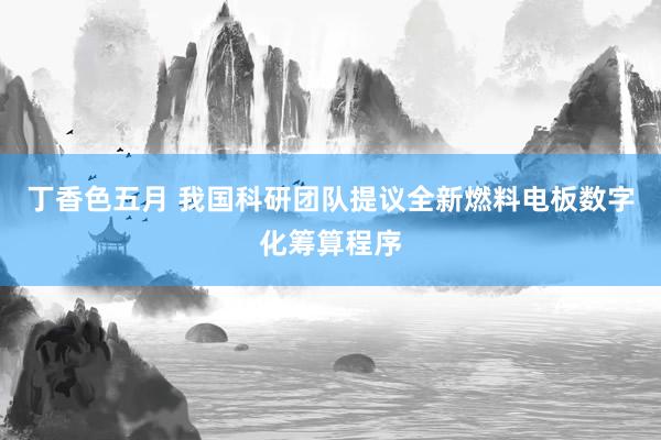 丁香色五月 我国科研团队提议全新燃料电板数字化筹算程序