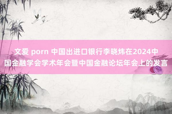 文爱 porn 中国出进口银行李晓炜在2024中国金融学会学术年会暨中国金融论坛年会上的发言