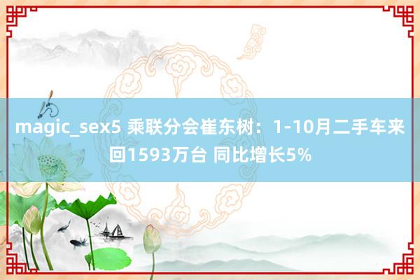 magic_sex5 乘联分会崔东树：1-10月二手车来回1593万台 同比增长5%