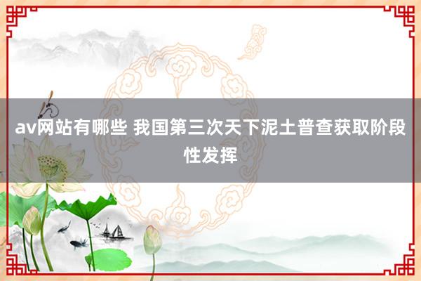 av网站有哪些 我国第三次天下泥土普查获取阶段性发挥