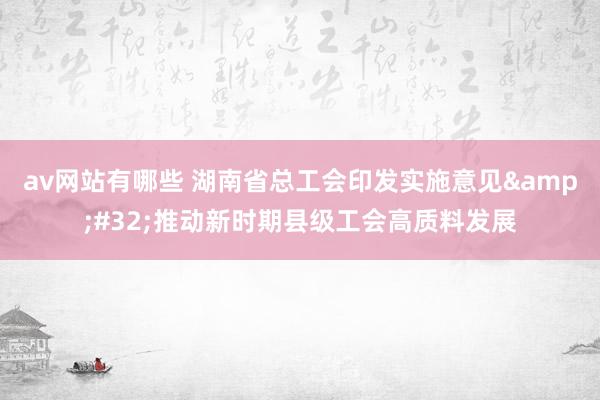 av网站有哪些 湖南省总工会印发实施意见&#32;推动新时期县级工会高质料发展