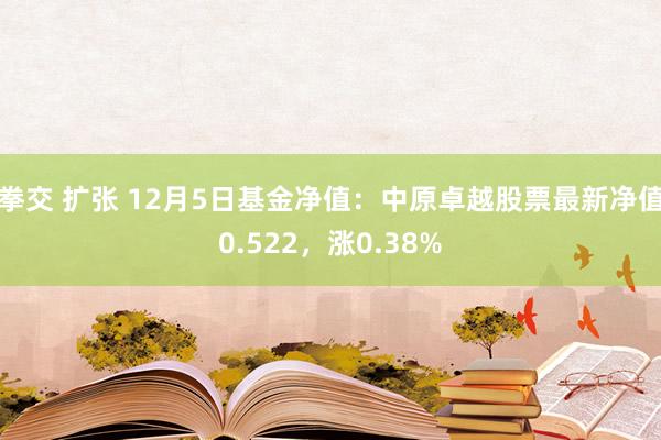 拳交 扩张 12月5日基金净值：中原卓越股票最新净值0.522，涨0.38%