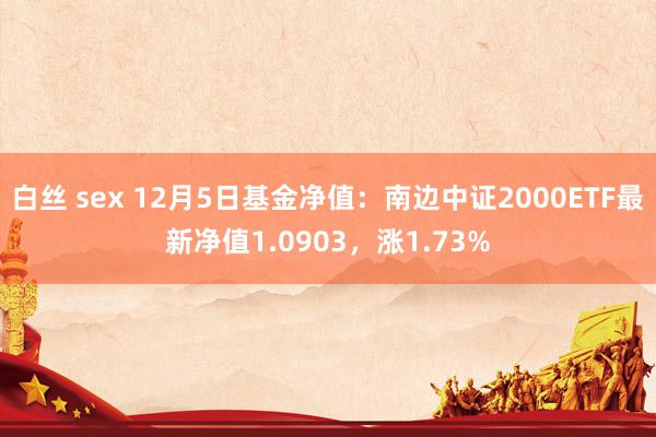 白丝 sex 12月5日基金净值：南边中证2000ETF最新净值1.0903，涨1.73%
