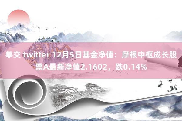 拳交 twitter 12月5日基金净值：摩根中枢成长股票A最新净值2.1602，跌0.14%