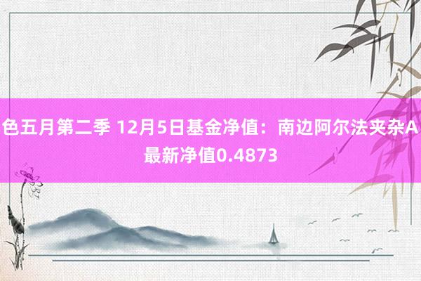 色五月第二季 12月5日基金净值：南边阿尔法夹杂A最新净值0.4873