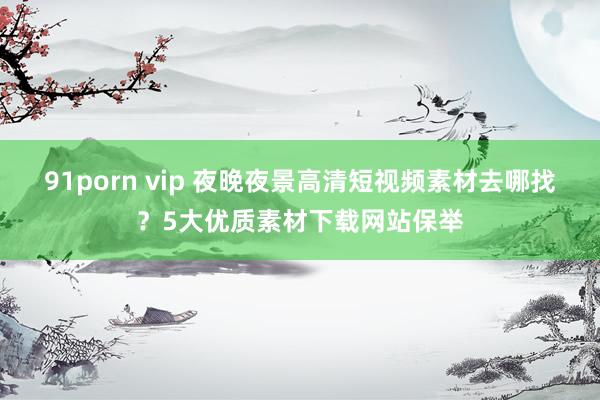 91porn vip 夜晚夜景高清短视频素材去哪找？5大优质素材下载网站保举