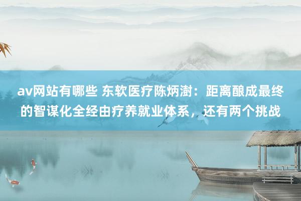 av网站有哪些 东软医疗陈炳澍：距离酿成最终的智谋化全经由疗养就业体系，还有两个挑战