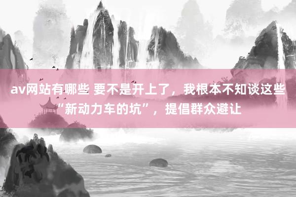 av网站有哪些 要不是开上了，我根本不知谈这些“新动力车的坑”，提倡群众避让