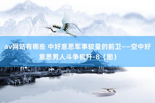 av网站有哪些 中好意思军事较量的前卫——空中好意思男人斗争机歼-8（图）