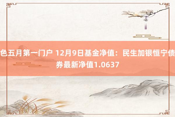 色五月第一门户 12月9日基金净值：民生加银恒宁债券最新净值1.0637