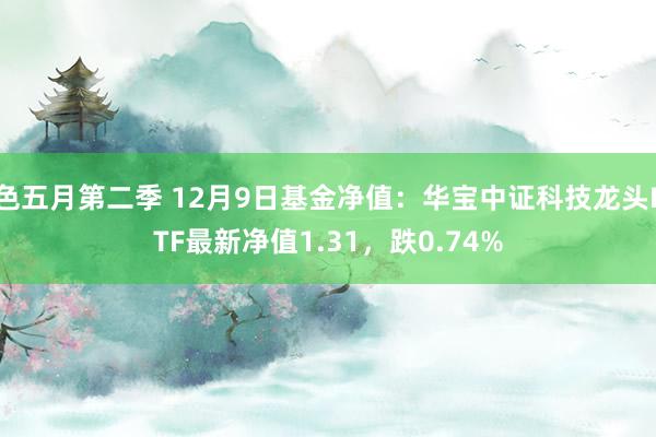 色五月第二季 12月9日基金净值：华宝中证科技龙头ETF最新净值1.31，跌0.74%