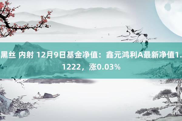 黑丝 内射 12月9日基金净值：鑫元鸿利A最新净值1.1222，涨0.03%