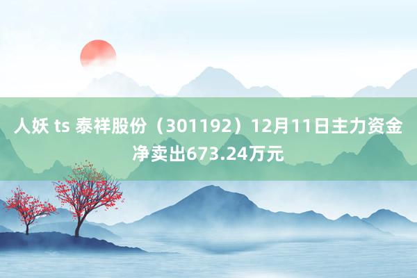 人妖 ts 泰祥股份（301192）12月11日主力资金净卖出673.24万元