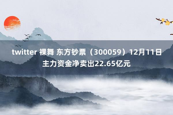 twitter 裸舞 东方钞票（300059）12月11日主力资金净卖出22.65亿元