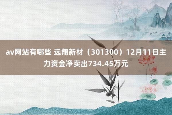 av网站有哪些 远翔新材（301300）12月11日主力资金净卖出734.45万元