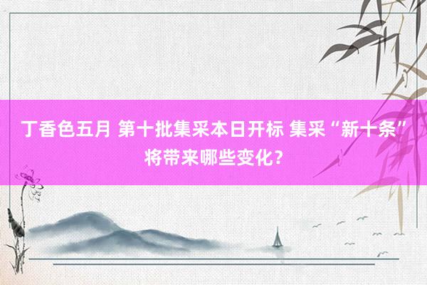 丁香色五月 第十批集采本日开标 集采“新十条”将带来哪些变化？