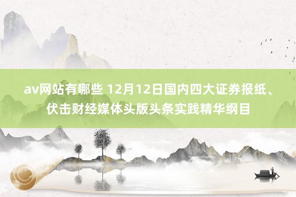 av网站有哪些 12月12日国内四大证券报纸、伏击财经媒体头版头条实践精华纲目