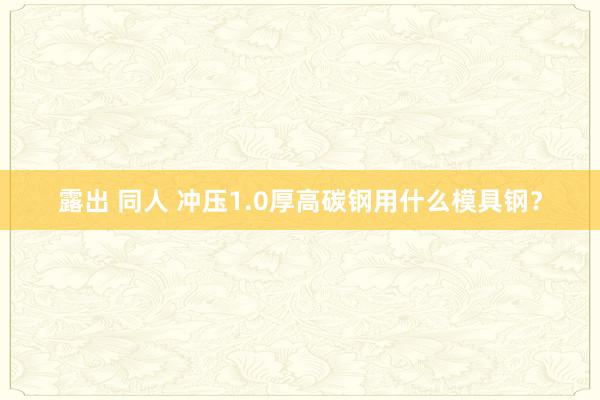露出 同人 冲压1.0厚高碳钢用什么模具钢？