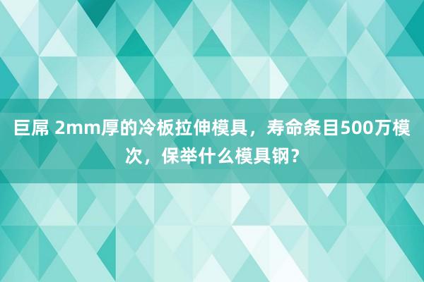 巨屌 2mm厚的冷板拉伸模具，寿命条目500万模次，保举什么模具钢？
