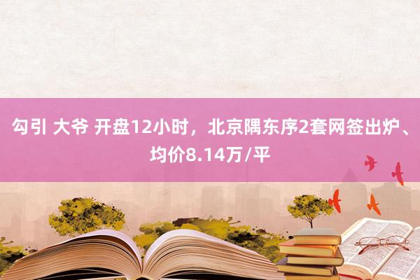 勾引 大爷 开盘12小时，北京隅东序2套网签出炉、均价8.14万/平