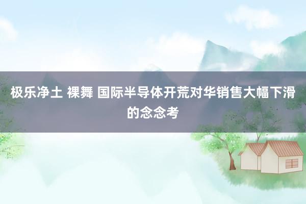 极乐净土 裸舞 国际半导体开荒对华销售大幅下滑的念念考