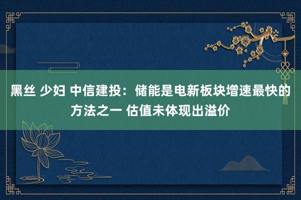 黑丝 少妇 中信建投：储能是电新板块增速最快的方法之一 估值未体现出溢价