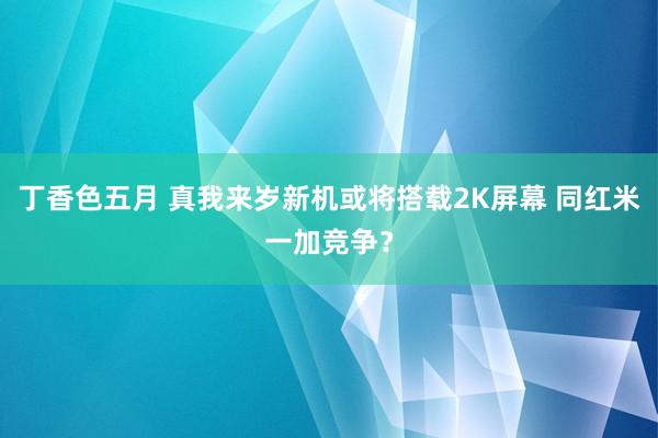 丁香色五月 真我来岁新机或将搭载2K屏幕 同红米一加竞争？