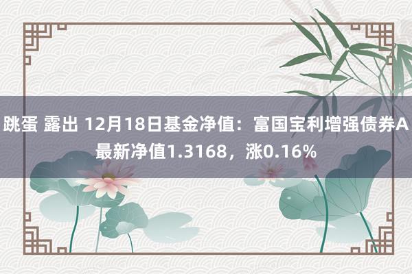 跳蛋 露出 12月18日基金净值：富国宝利增强债券A最新净值1.3168，涨0.16%