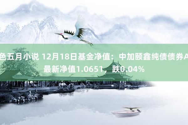 色五月小说 12月18日基金净值：中加颐鑫纯债债券A最新净值1.0651，跌0.04%