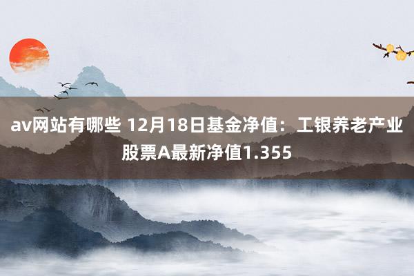 av网站有哪些 12月18日基金净值：工银养老产业股票A最新净值1.355