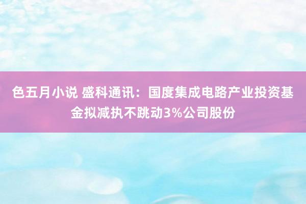 色五月小说 盛科通讯：国度集成电路产业投资基金拟减执不跳动3%公司股份