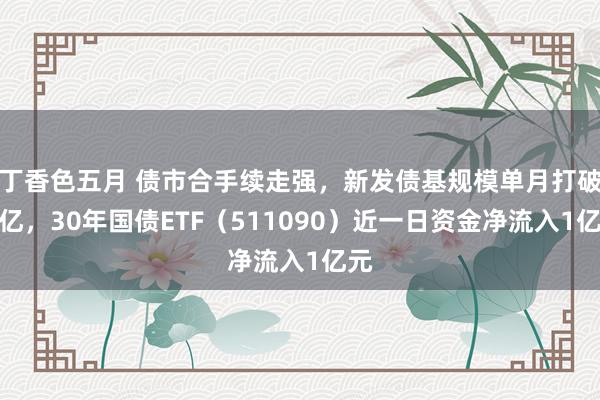丁香色五月 债市合手续走强，新发债基规模单月打破千亿，30年国债ETF（511090）近一日资金净流入1亿元