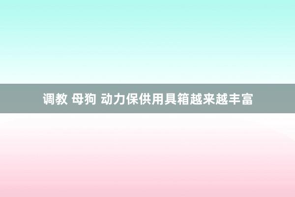 调教 母狗 动力保供用具箱越来越丰富