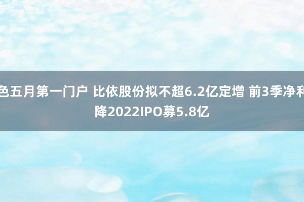 色五月第一门户 比依股份拟不超6.2亿定增 前3季净利降2022IPO募5.8亿
