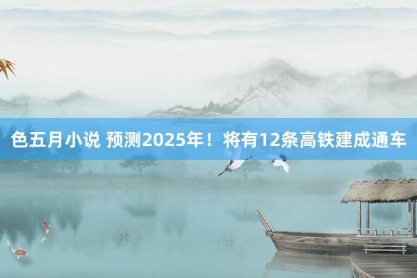 色五月小说 预测2025年！将有12条高铁建成通车